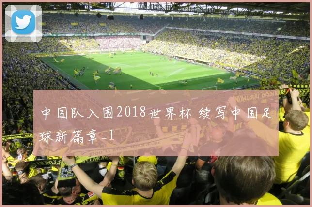 中国队入围2018世界杯 续写中国足球新篇章_1