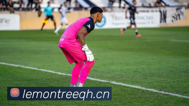 BSport(必一·运动)官方网站 - Ultra Platform平台生态图